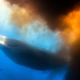 Illustration for article titled Film Crew Engulfed by Poonado of Whale Shit Astonishingly Unfazed